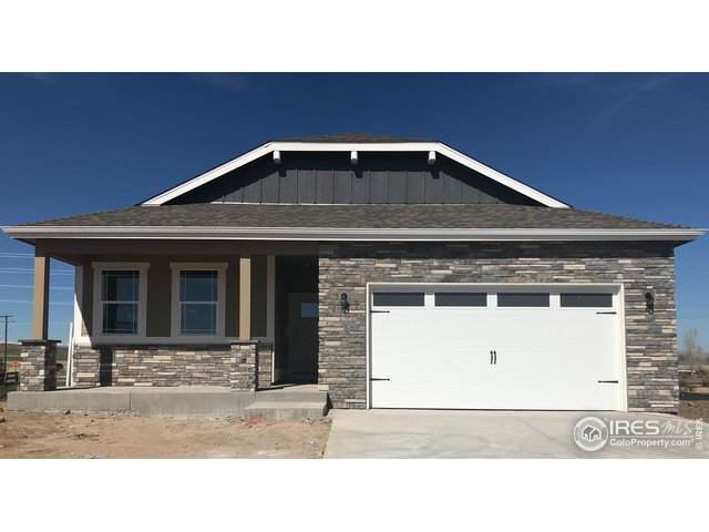 669 White Tail Ave - Photo 1