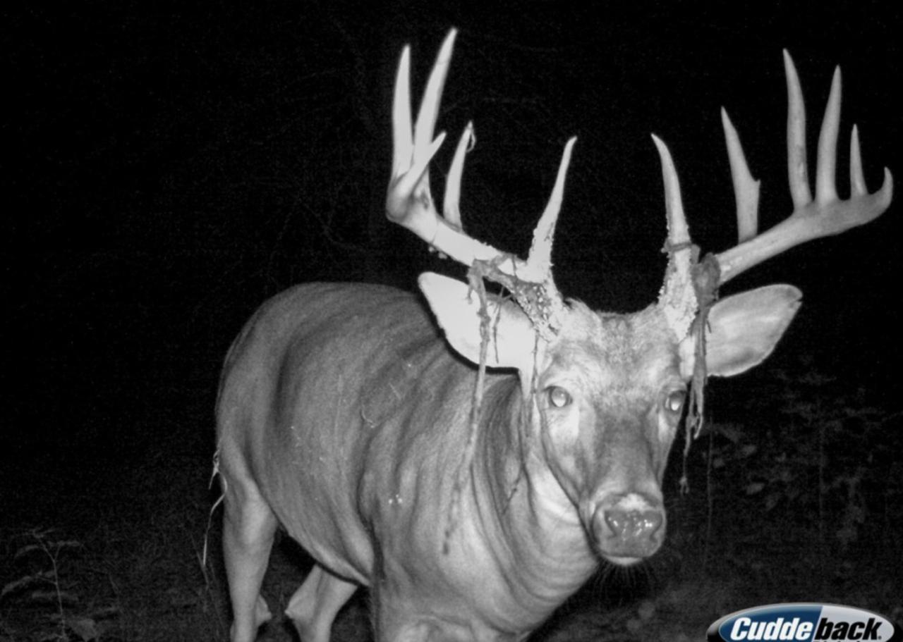 0000 County Road 4 - Photo 1