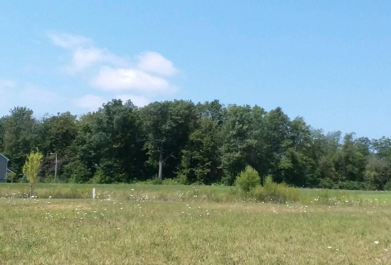 2630 Crane Pond - Photo 1