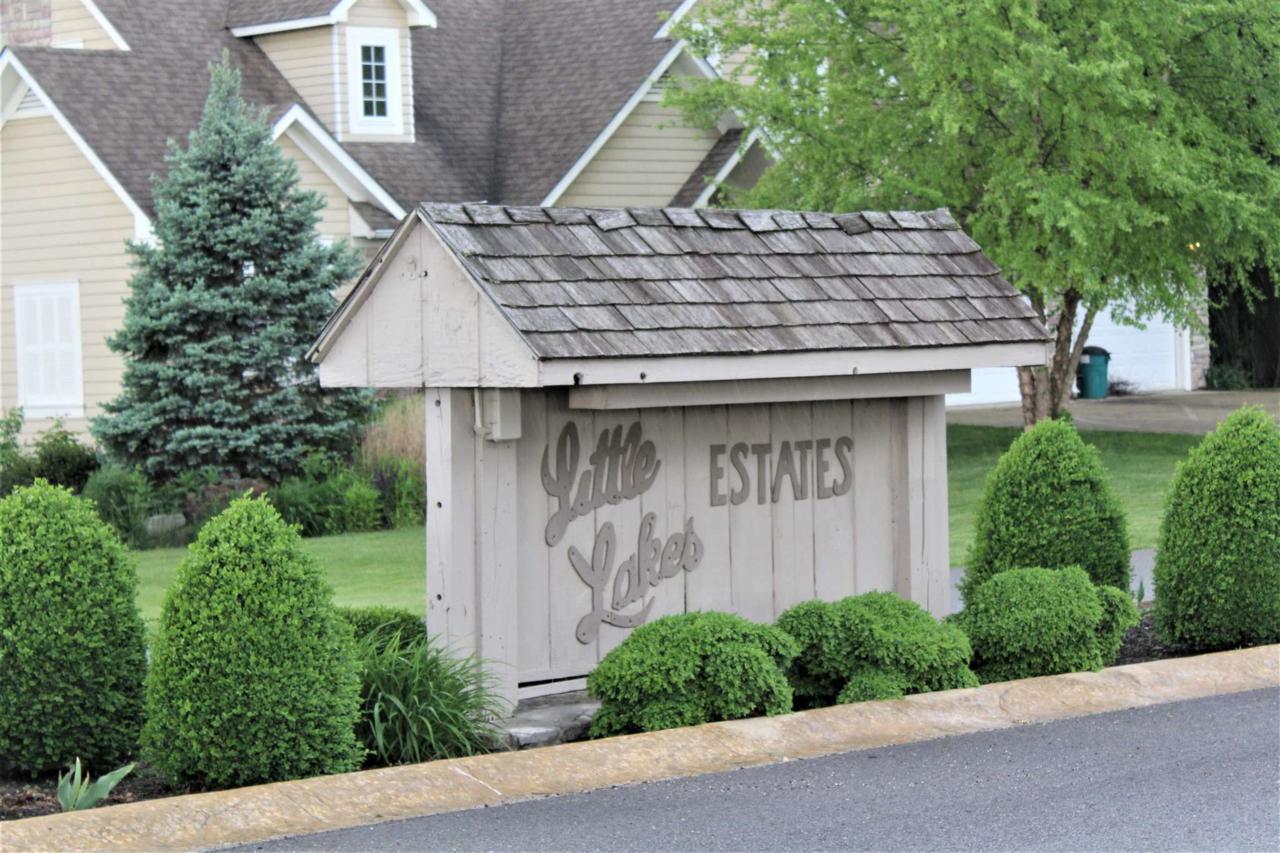 Springwater Drive - Photo 1