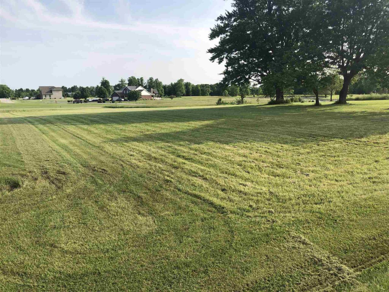 600 N Lot 12 Fox Station Acres - Photo 1