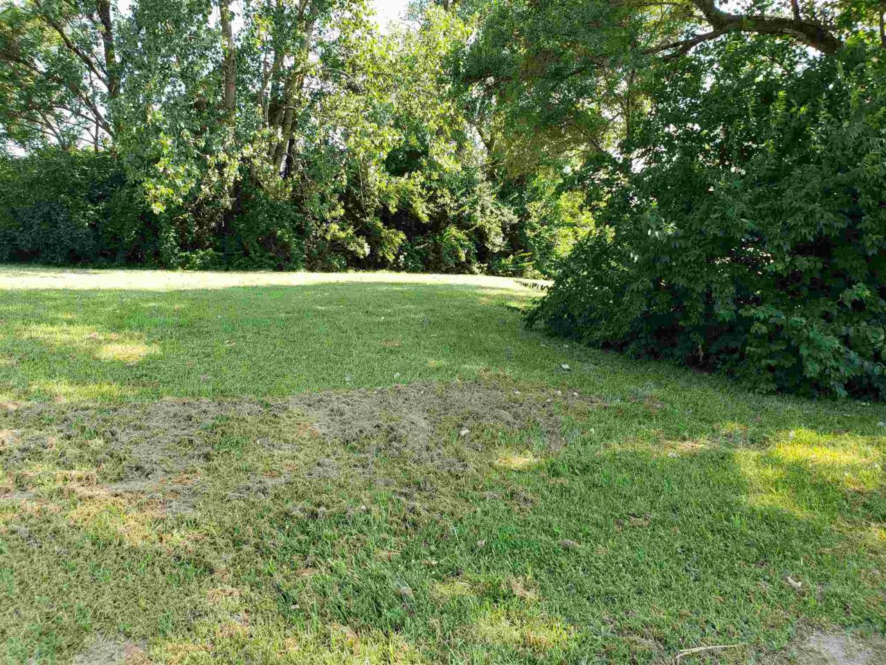 Lot 59 Caroline Avenue - Photo 1