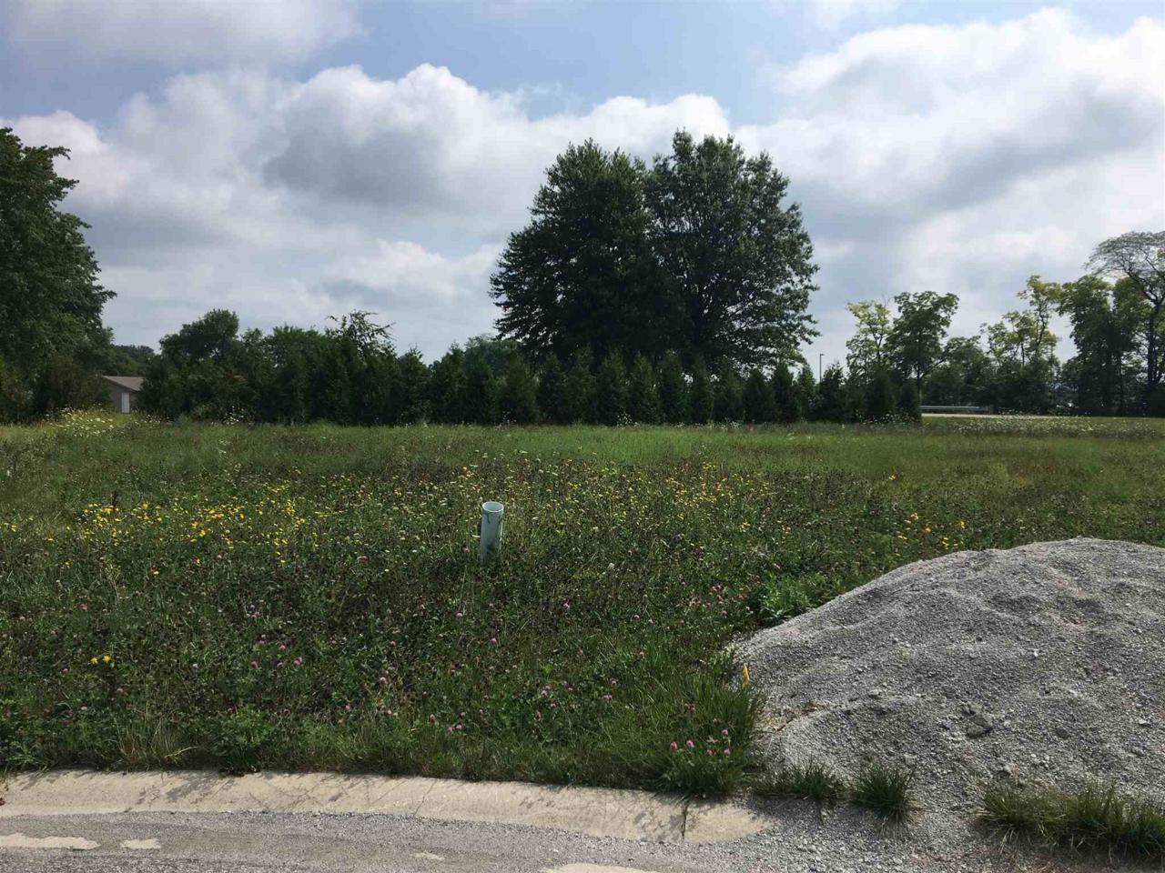 17028 Hamptons Parkway - Photo 1