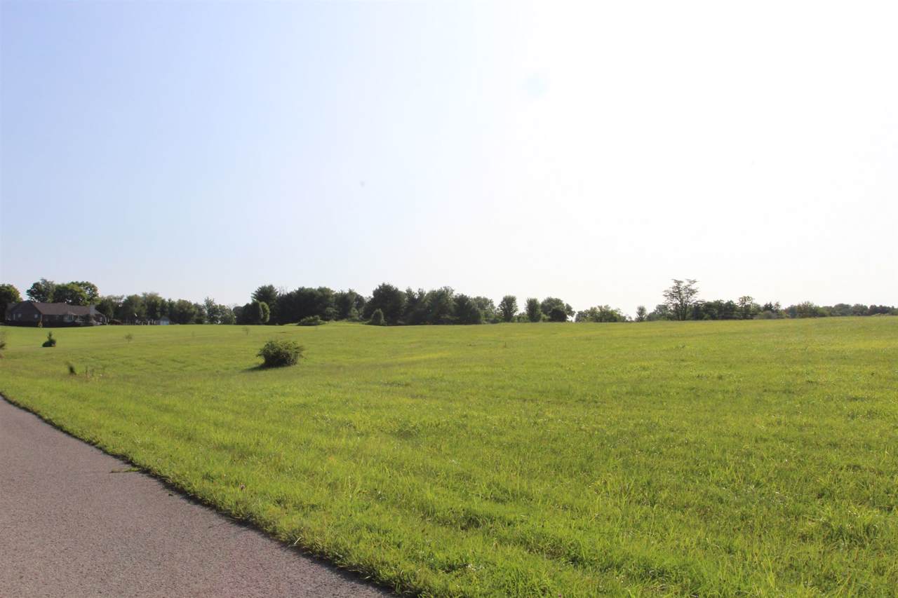 1615 Michelle (Lot 57) Court - Photo 1