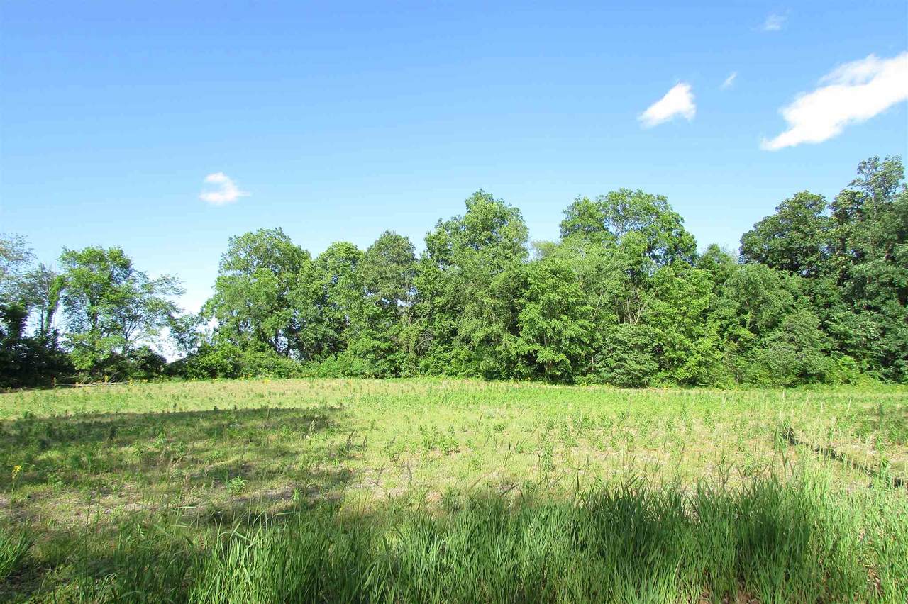 5979 Wolfs Road - Photo 1