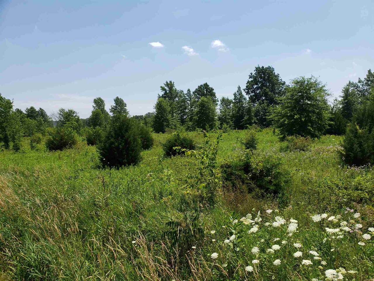 County Road 60 - Photo 1
