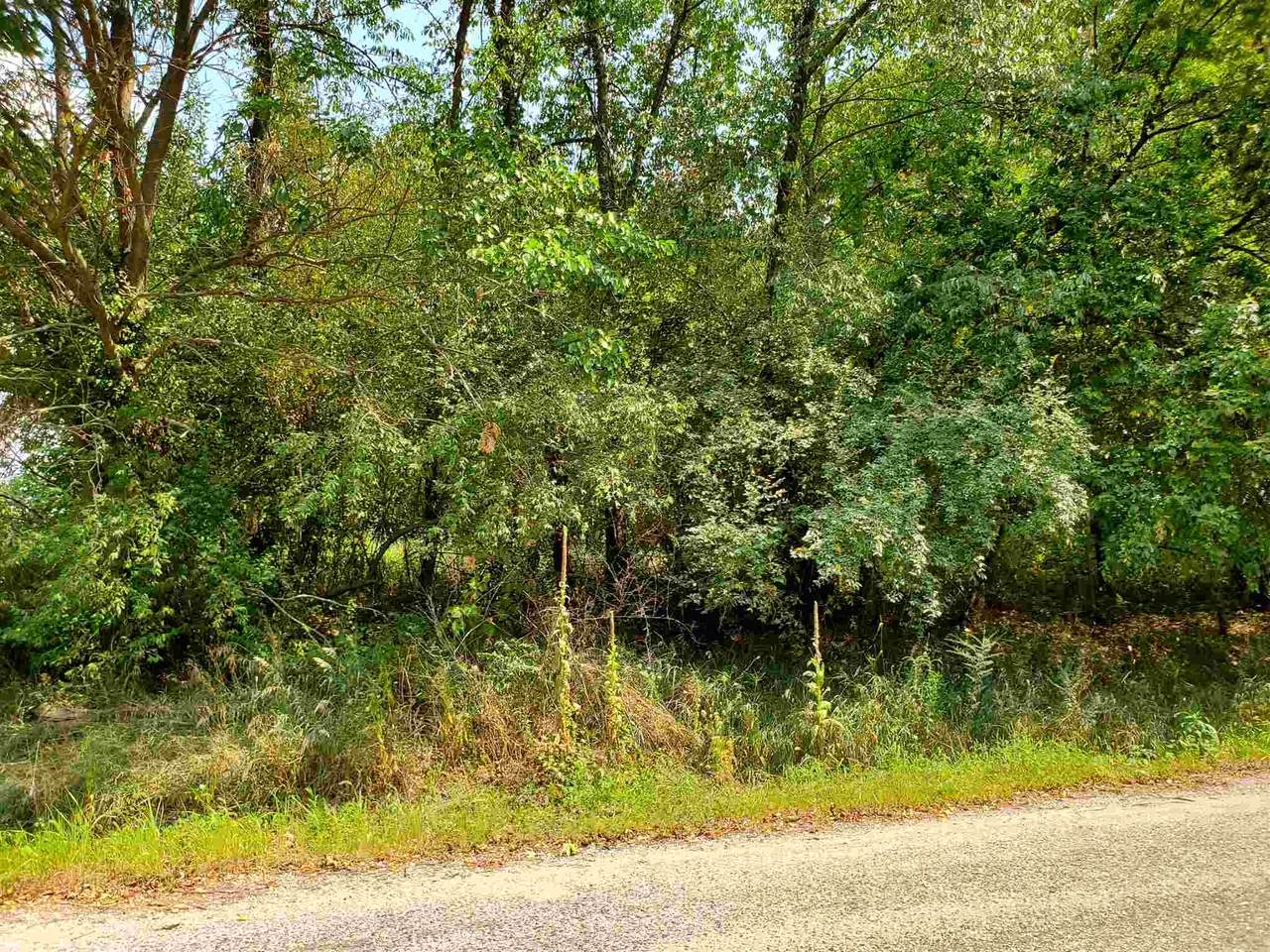 TBD 1000 W Lots 40 & 40B Little Lime Lake - Photo 1