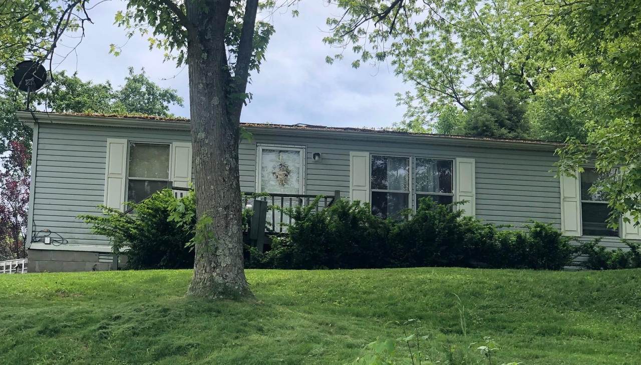 8075 Abeydel Pike - Photo 1