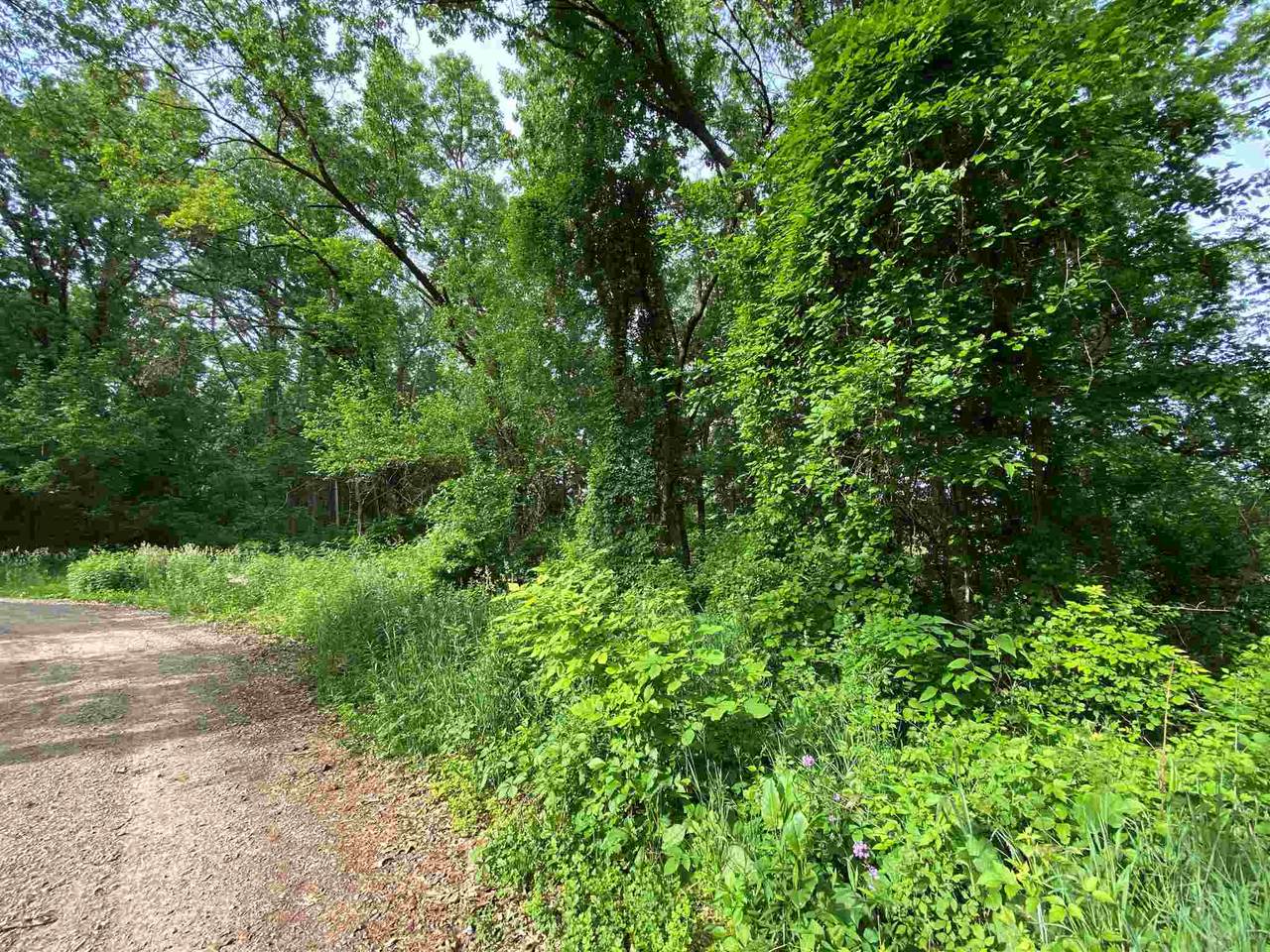 Lots 662-665 Lane 355 Jimmerson Lake - Photo 1