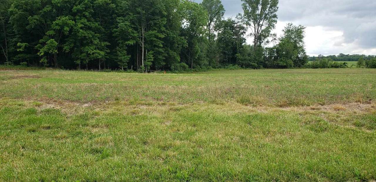 Lot 1 County Road 300 N - Photo 1