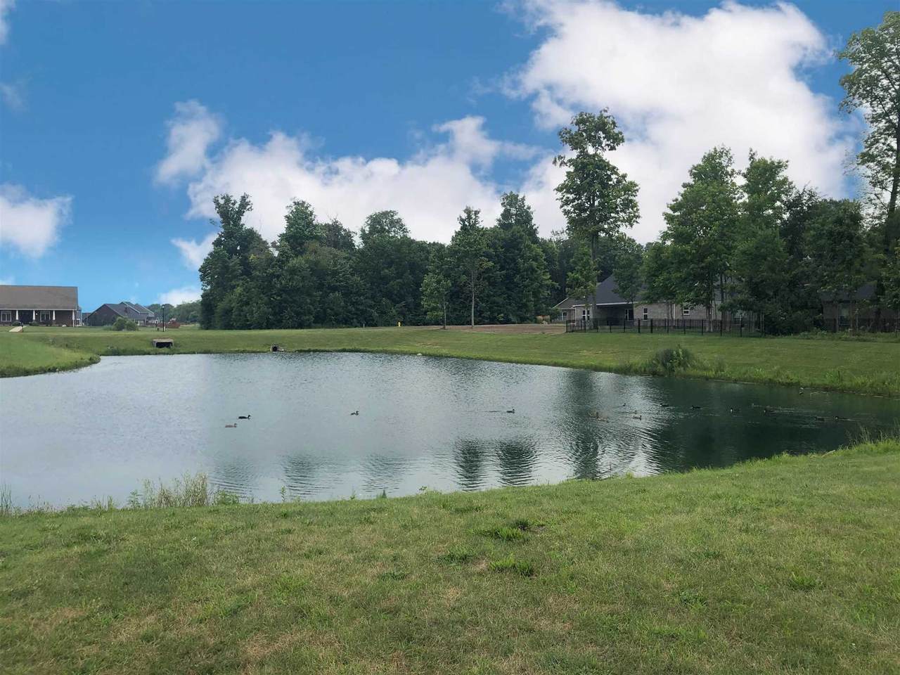 2662 War Admiral Trail - Photo 1