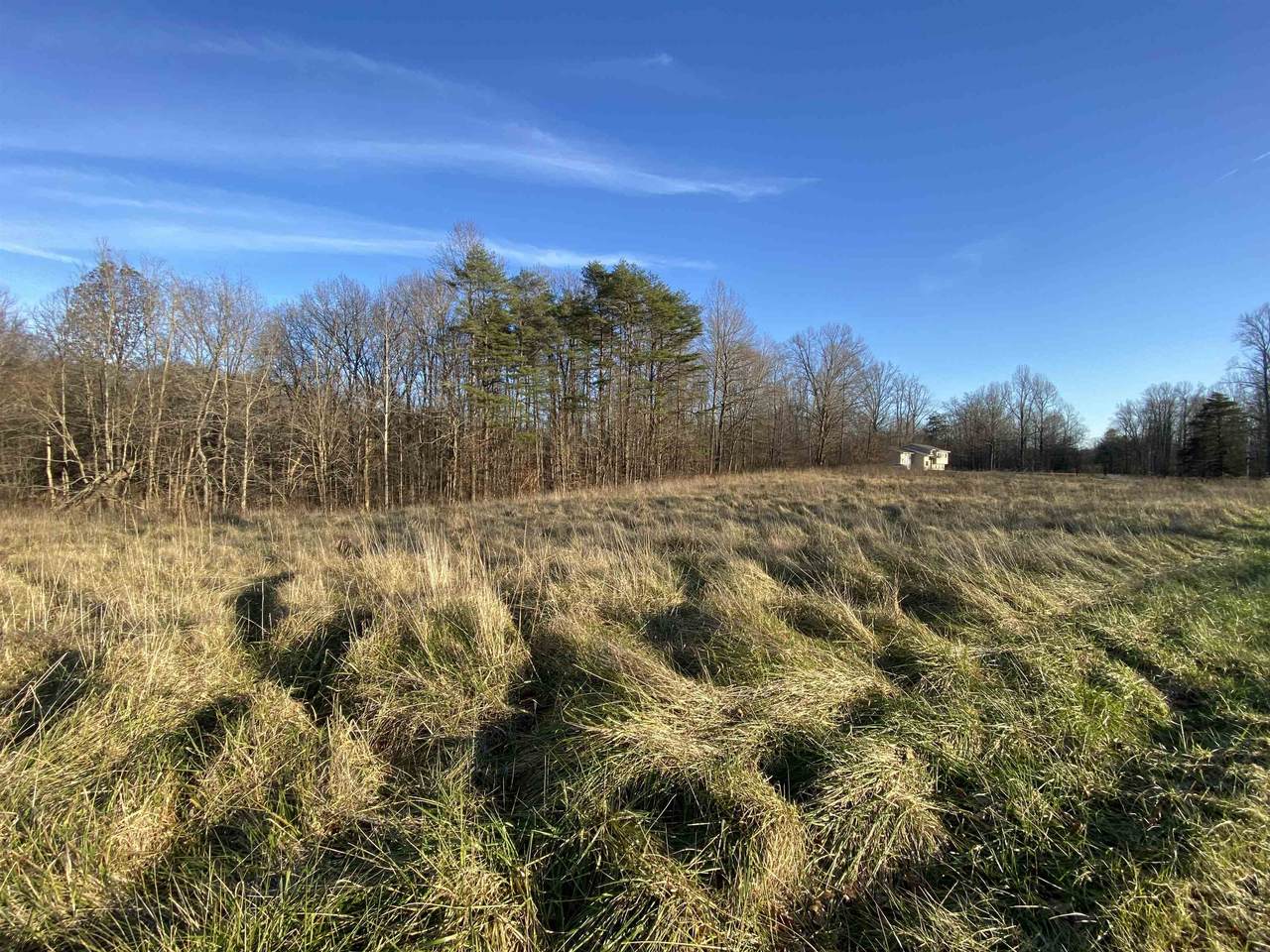 4288 Mt Gilead Rd Road - Photo 1