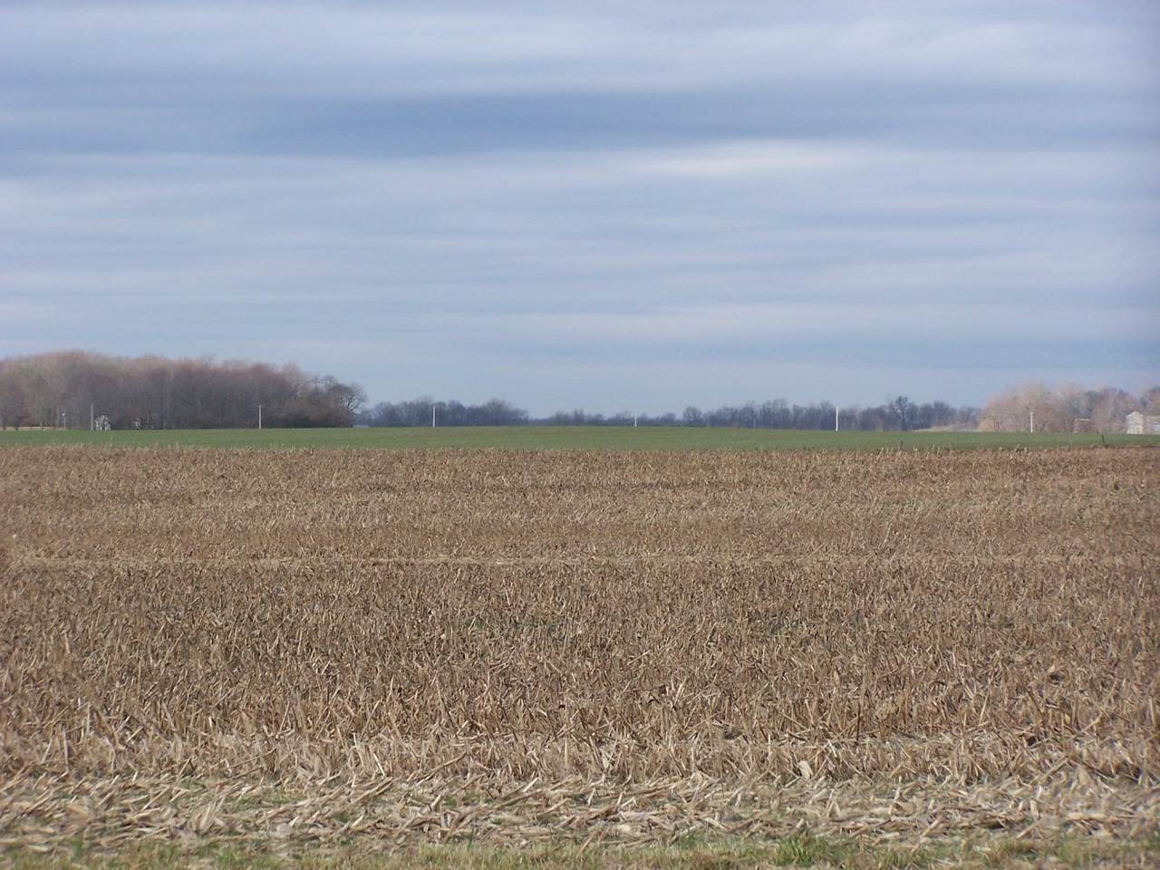 12090 Base Road - Photo 1