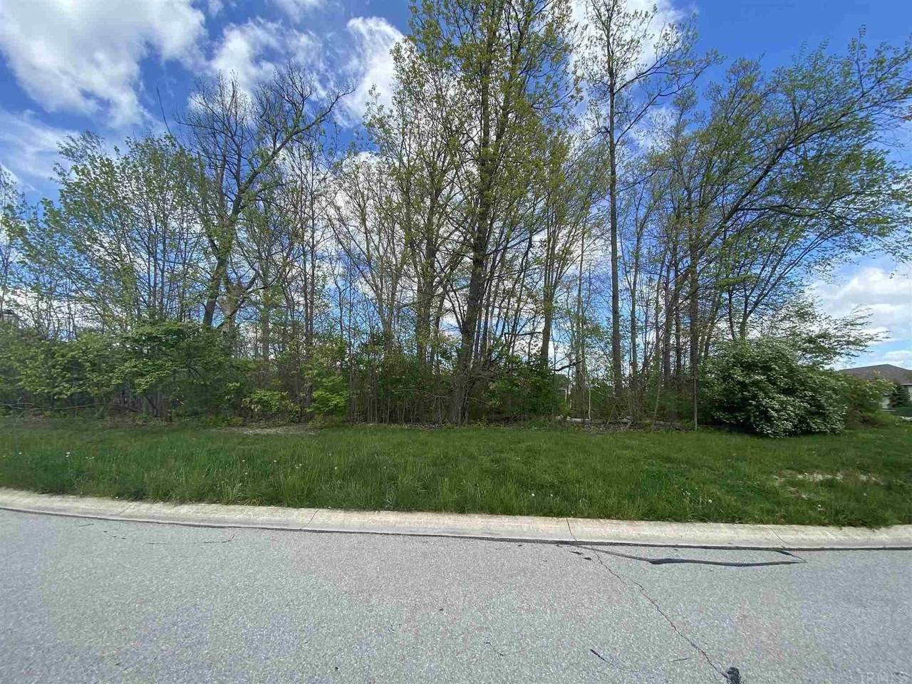 8204 Shady Lake Drive - Photo 1