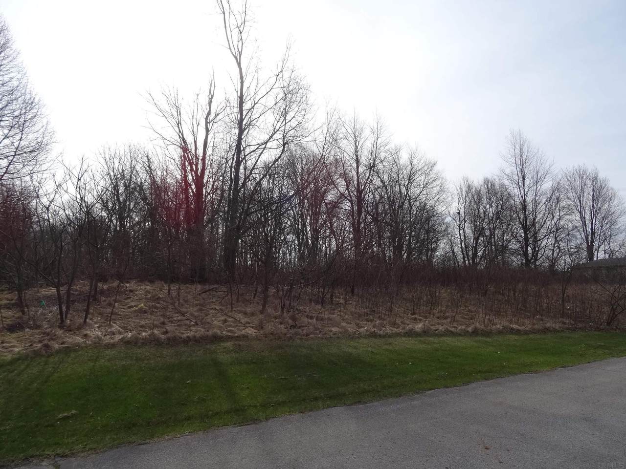 TBD Willow Bend Drive - Photo 1