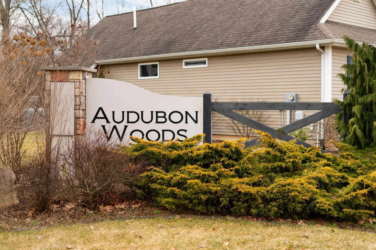 51709 Audubon Woods Drive - Photo 1