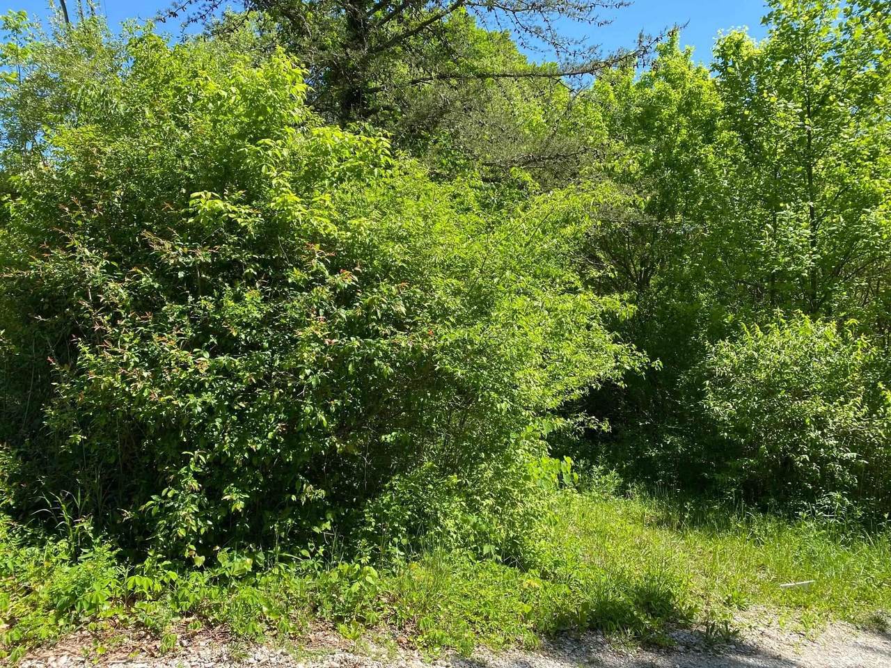 5753 Rocky Hill Road - Photo 1