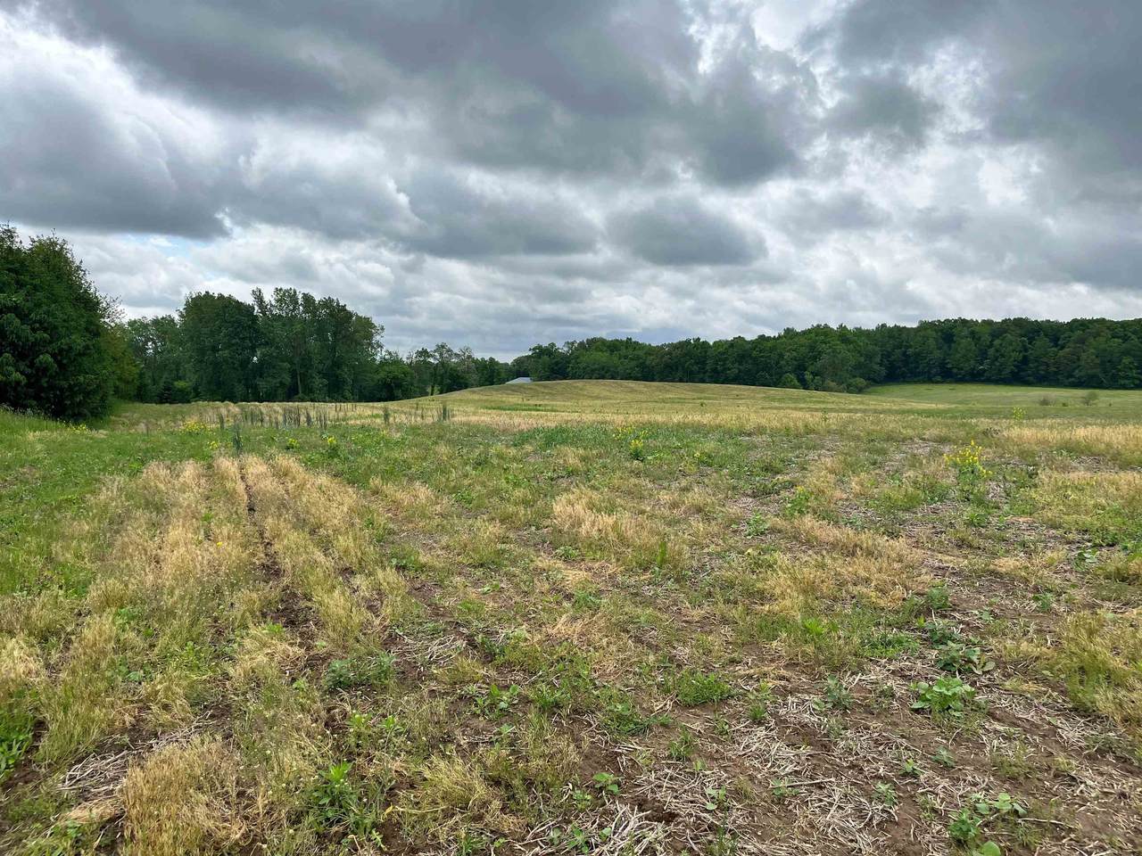 00 Landis Road - Photo 1
