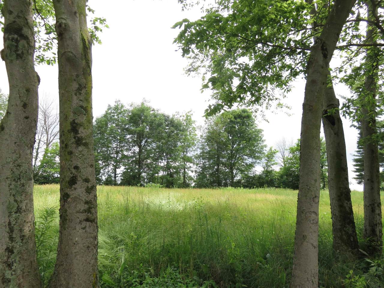 Land E Hills And Dales - Photo 1