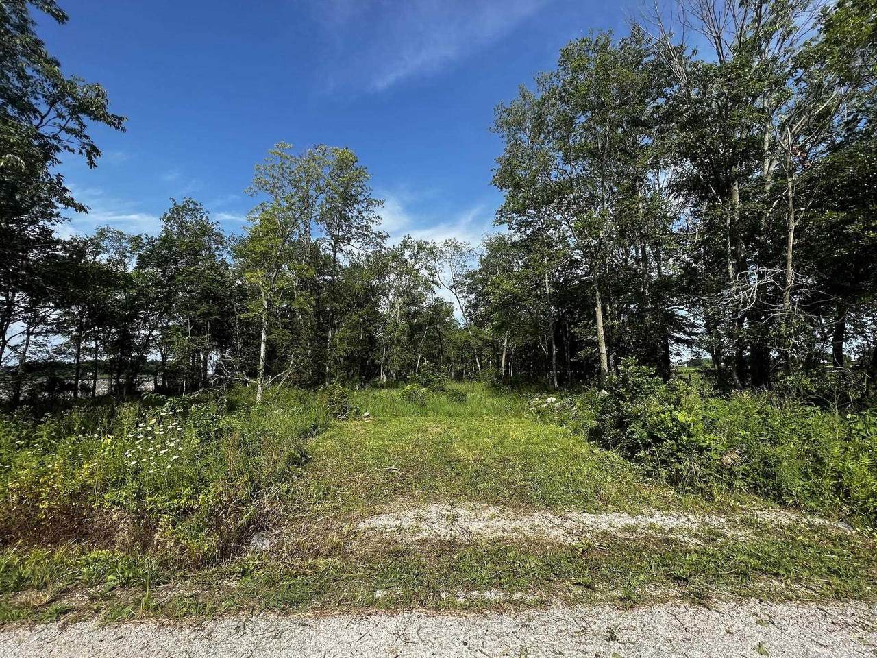 1601 Hachmeister Road - Photo 1