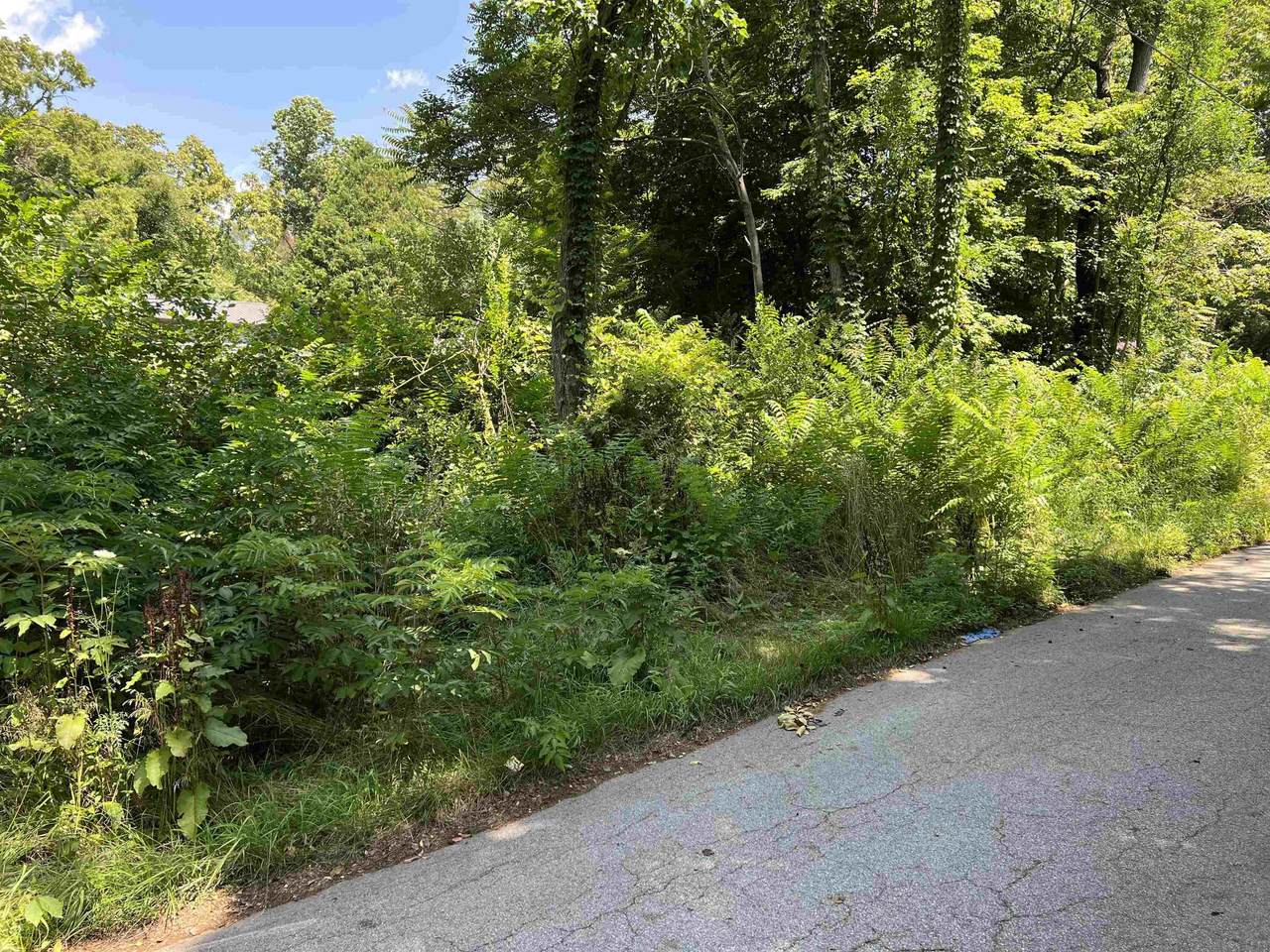 00 Whitsell Drive - Photo 1