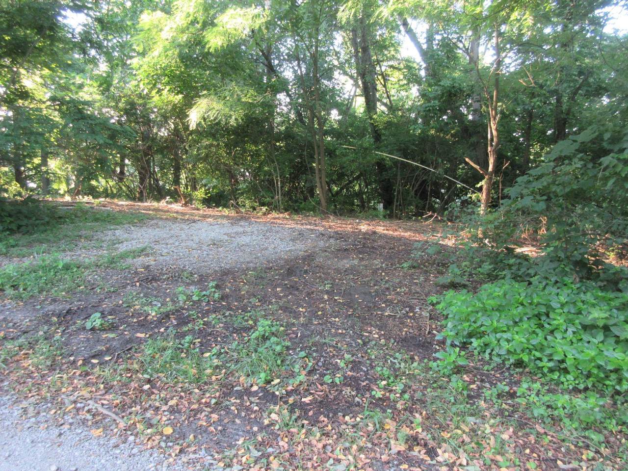 7757 Upper Hambridge Drive - Photo 1