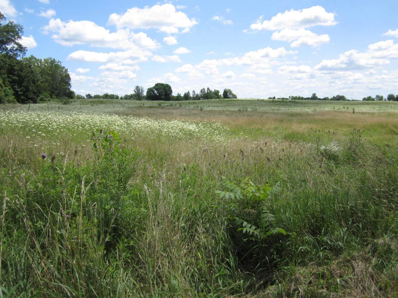 00 County Road 39 - Photo 1