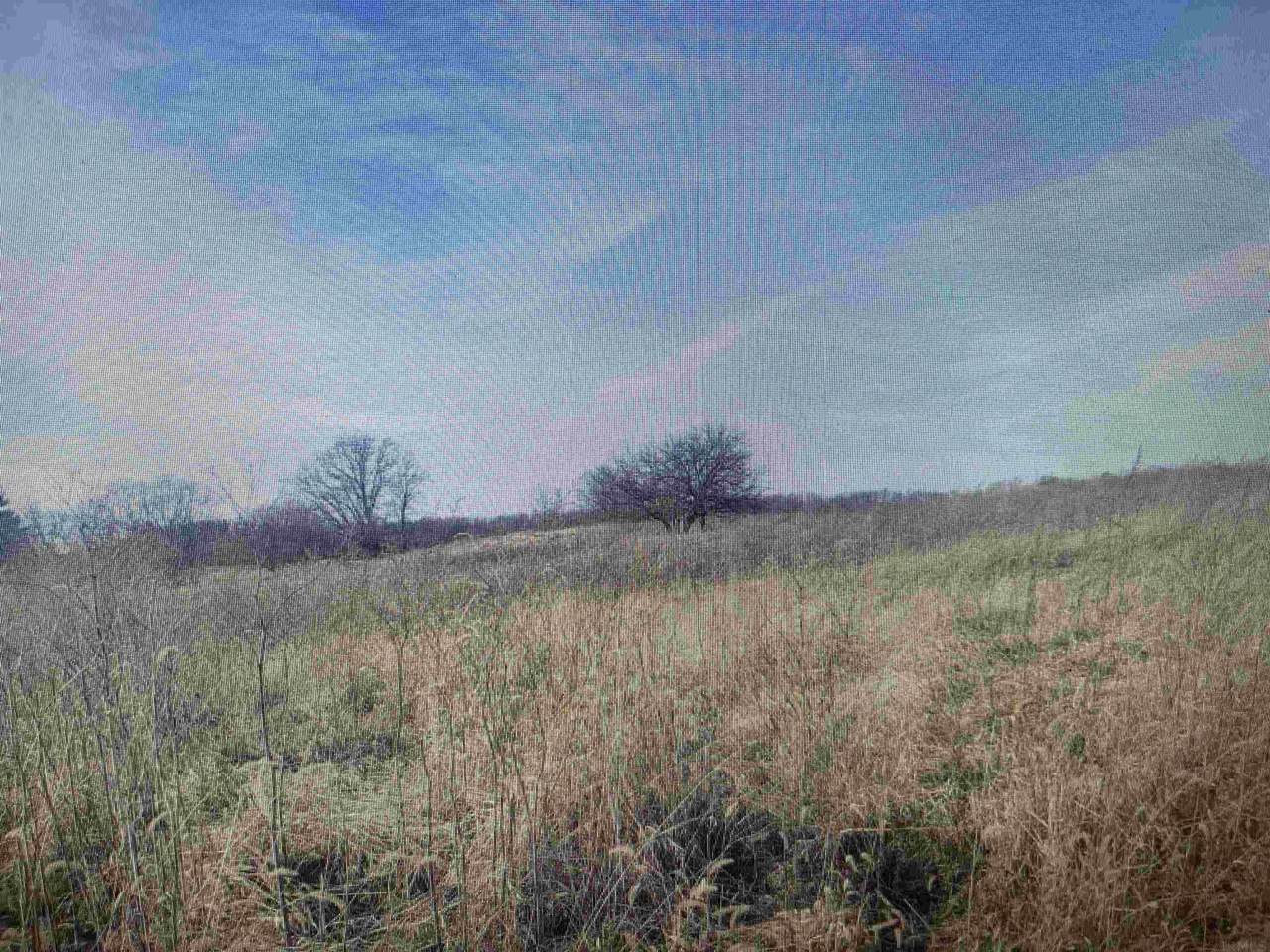 Delaware Road - Photo 1