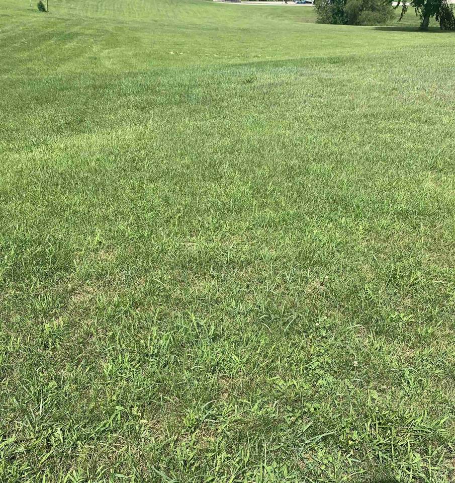 TBD Kiser Lake Drive - Photo 1