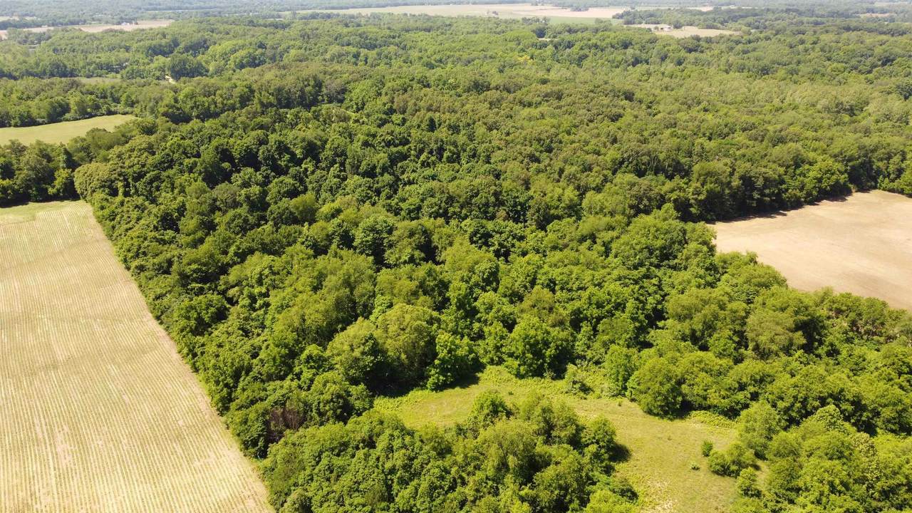 5164 County Road 325 N - Photo 1