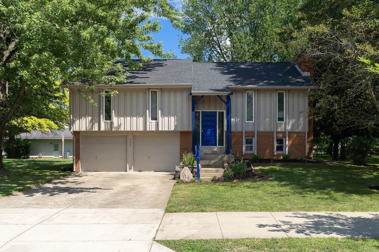 230 Cumberland Avenue - Photo 1