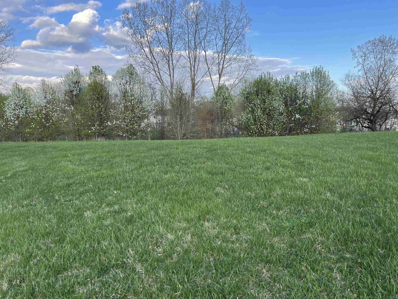 504 Ridgeview Trail - Photo 1