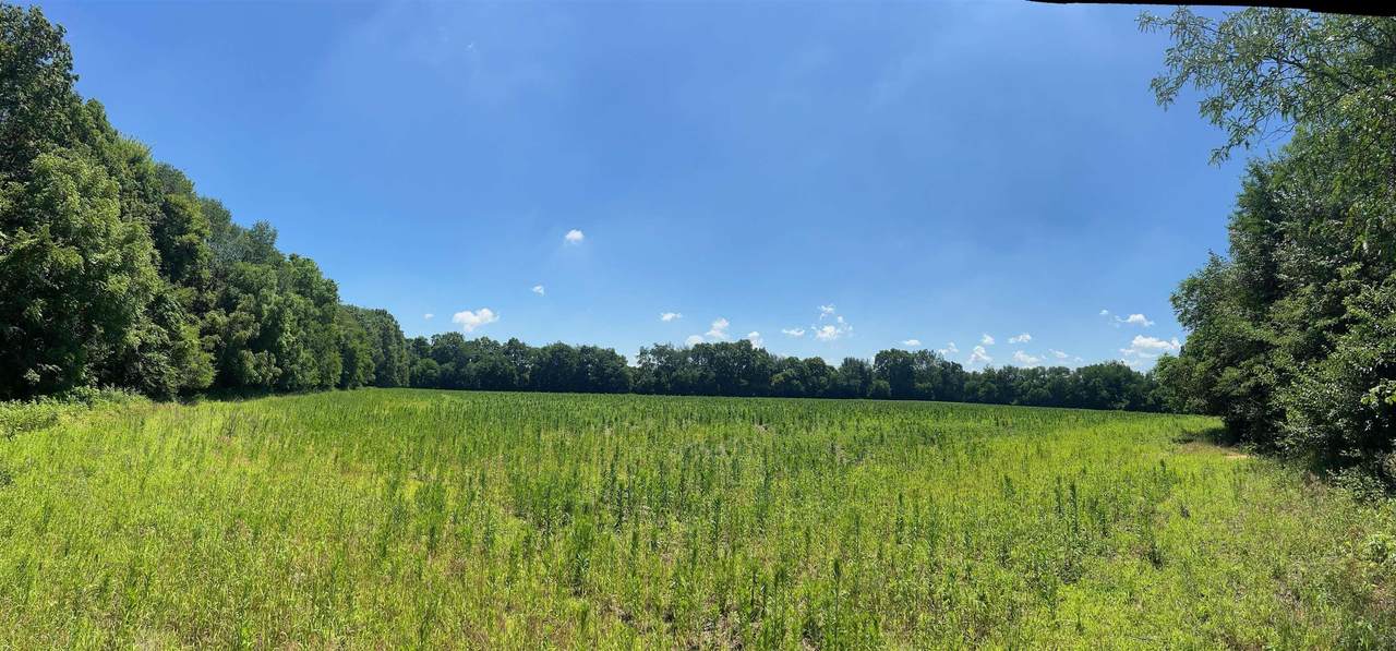 Cr 115 Road - Photo 1