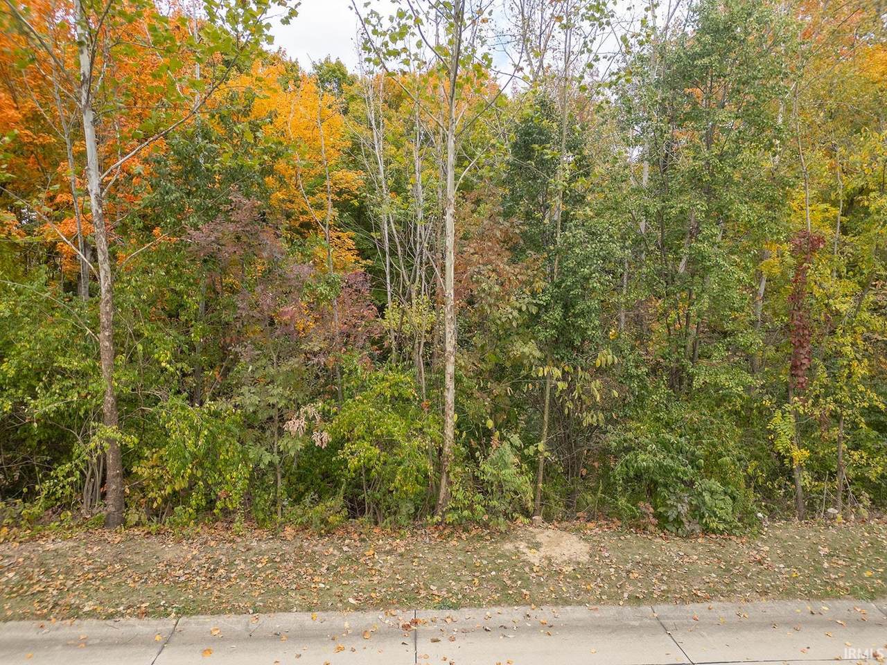 1650 Masons Ridge Court - Photo 1