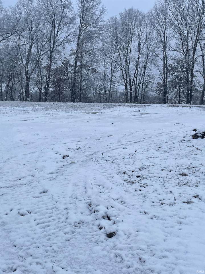 673 E Basalt Drive - Photo 1