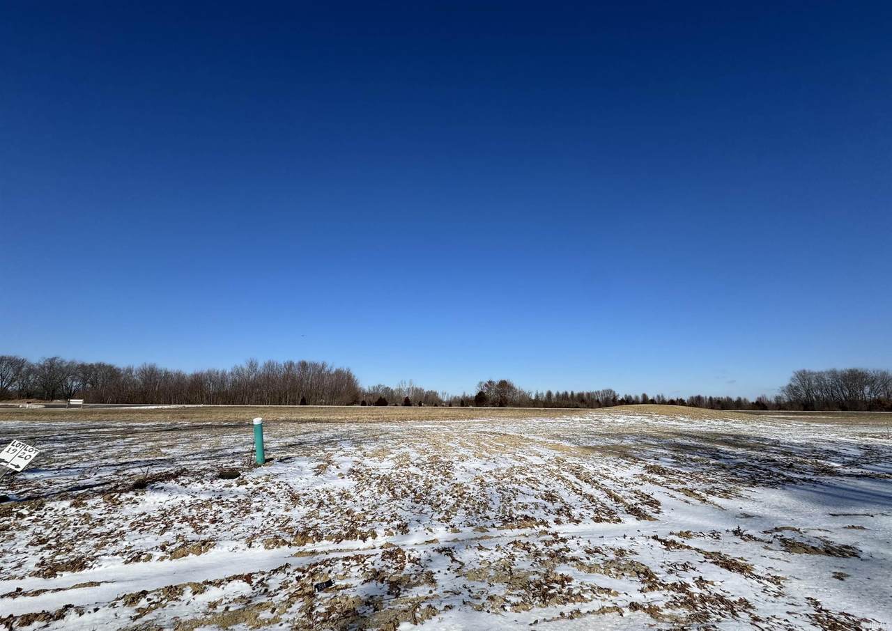 Lot 20 Blue Bird Lane - Photo 1