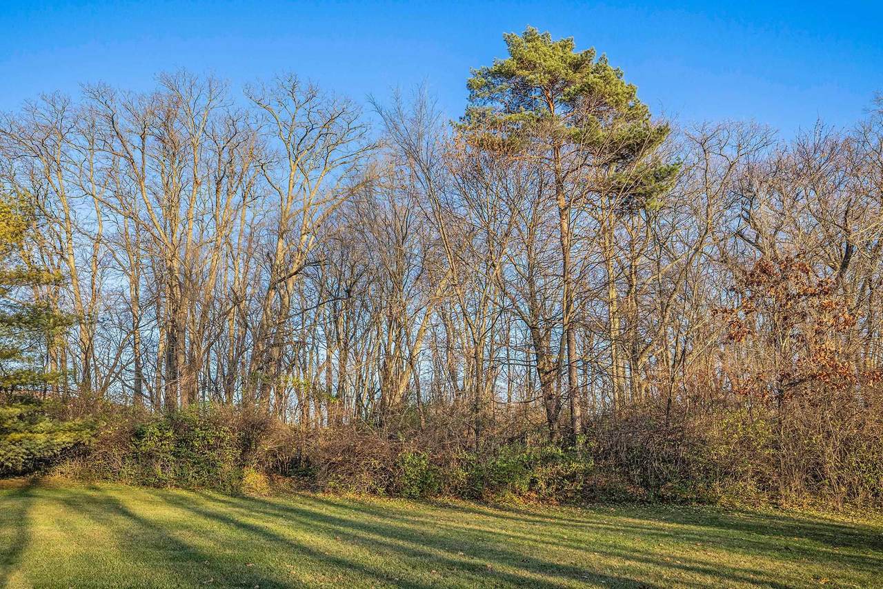 53040 Summer Breeze Drive - Photo 1