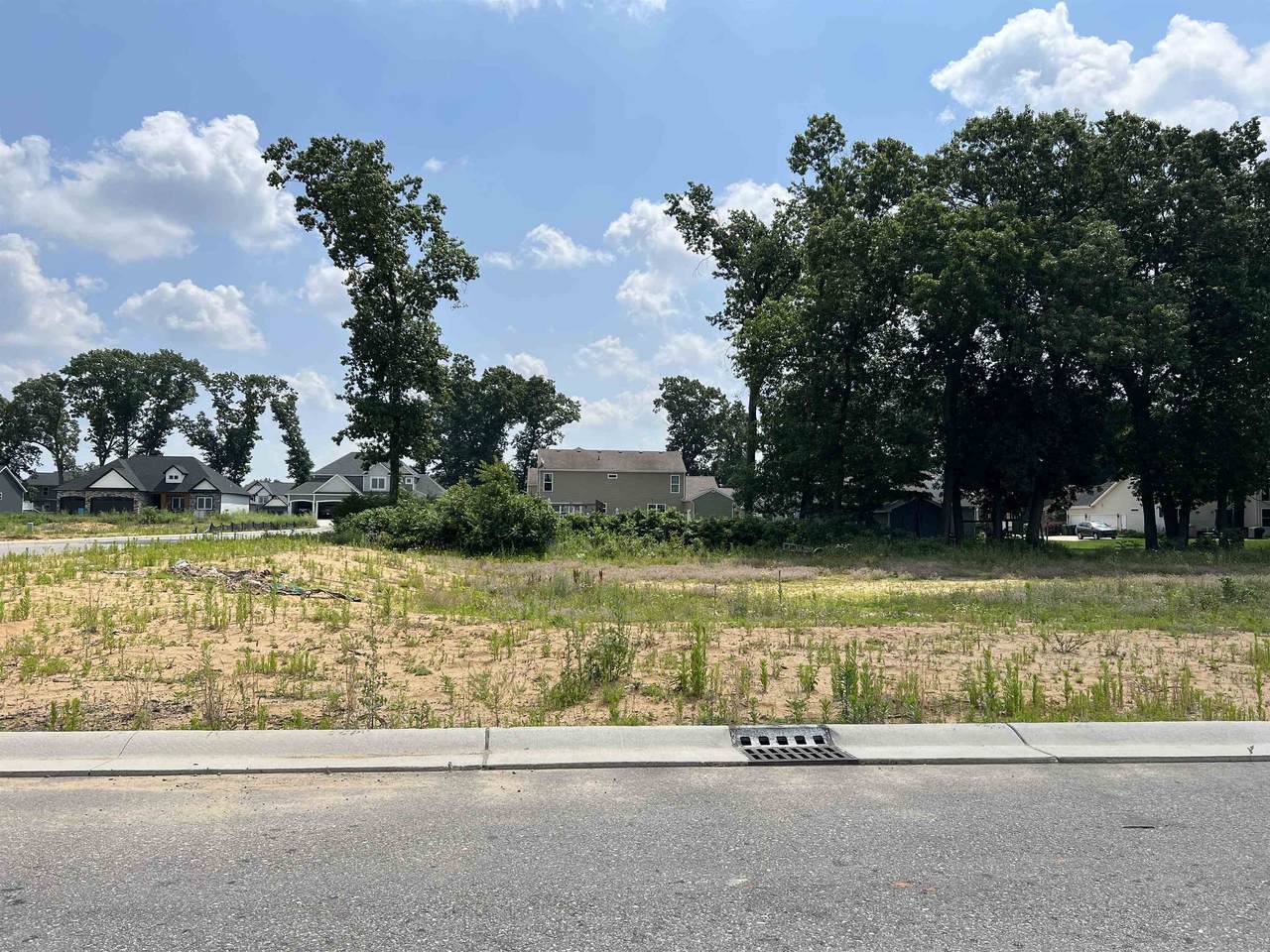 11508 New Trails Drive - Photo 1