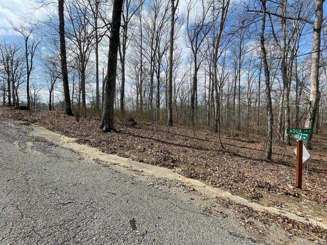 000 Harry Beumer Lane - Photo 1