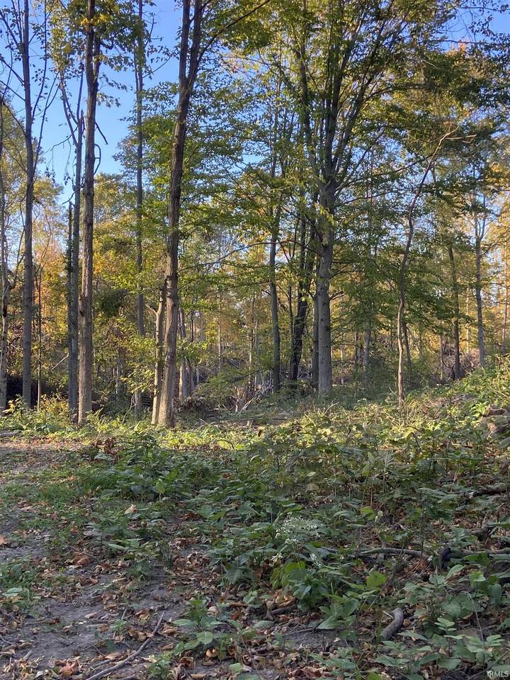 1900 175 E - Photo 1