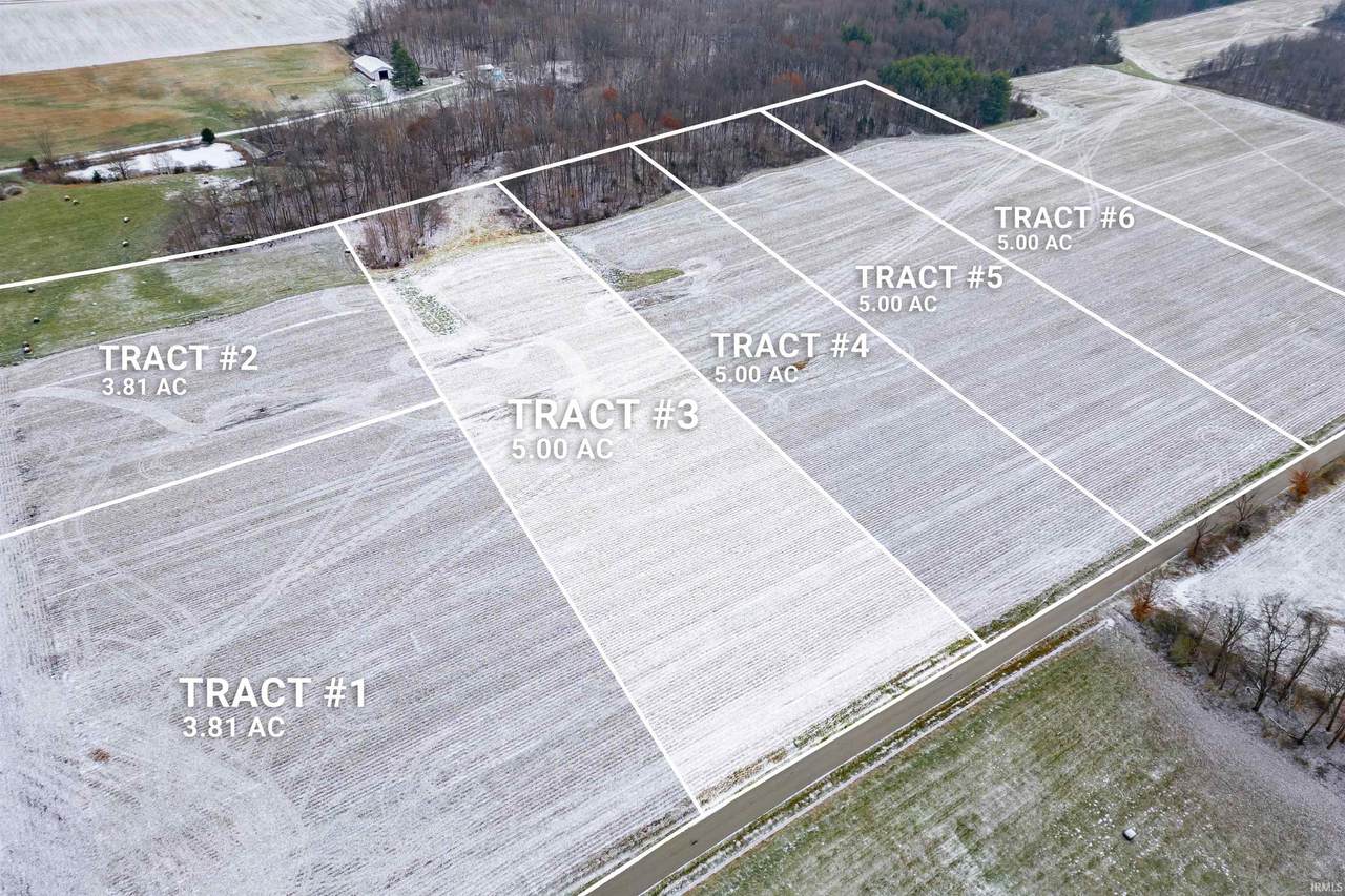 Tract 3 Skunk Hollow Road - Photo 1