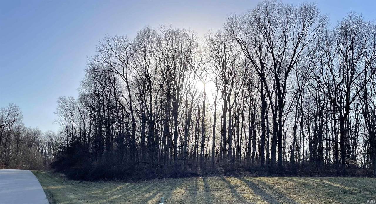 5080 (Lot 8) Bridle Path Trail - Photo 1
