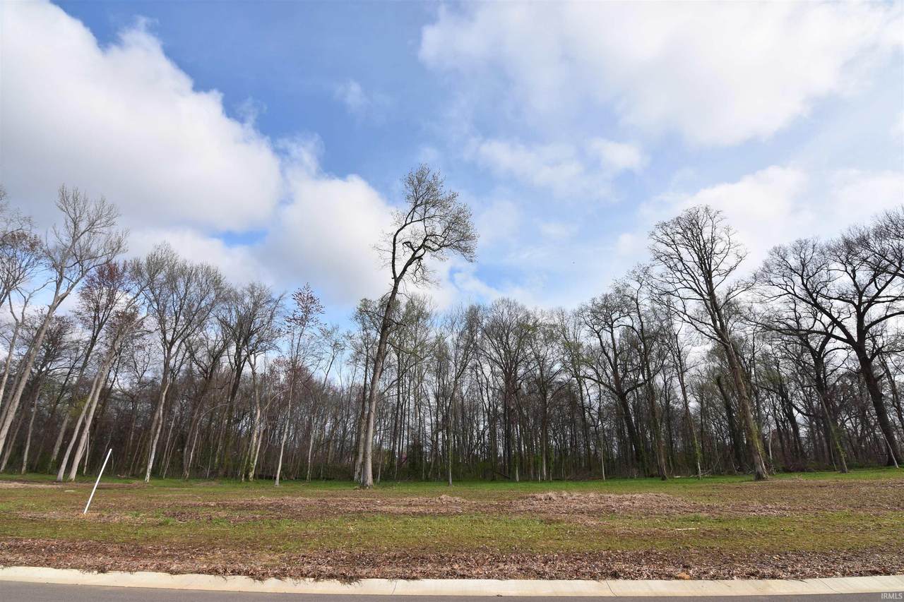 4506 Violet Drive - Photo 1