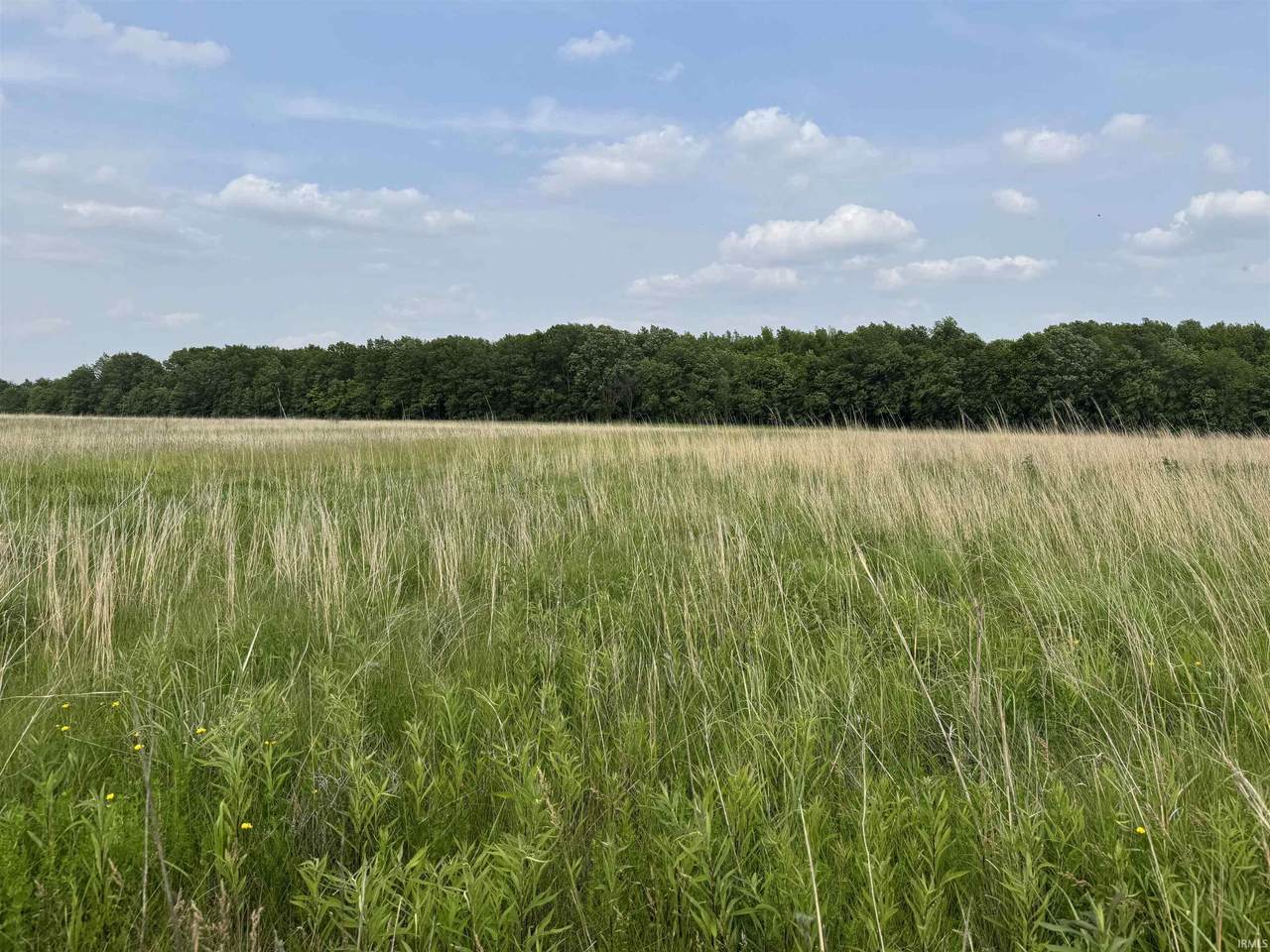 TBD 150 E Road - Photo 1