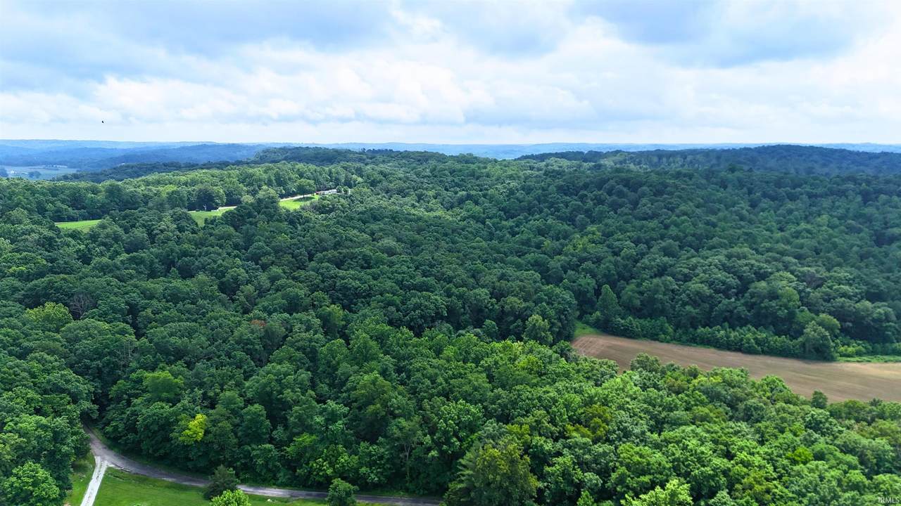 Tract 2 State Rd 450 - Photo 1