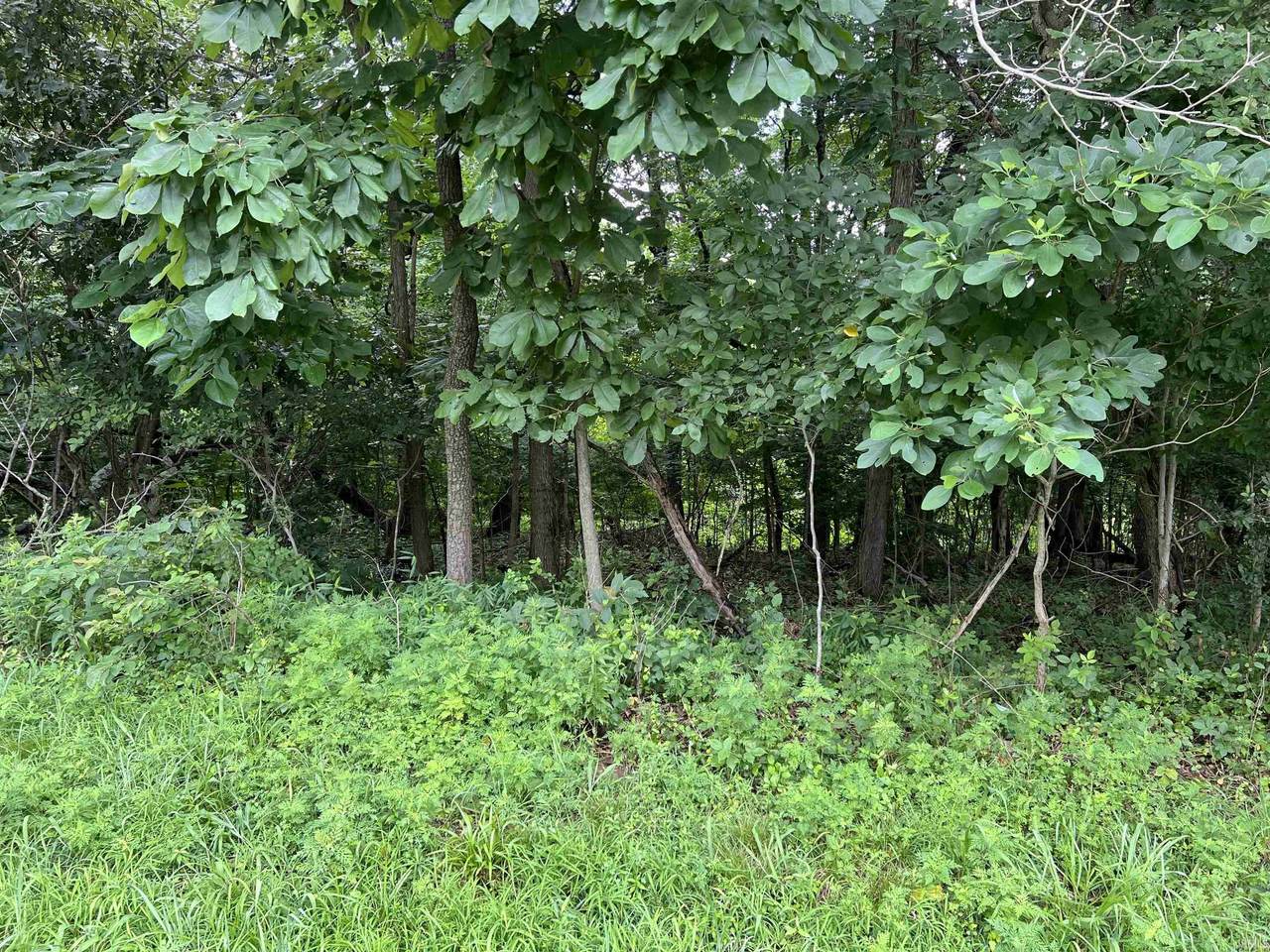 0 Melchoir Drive - Photo 1