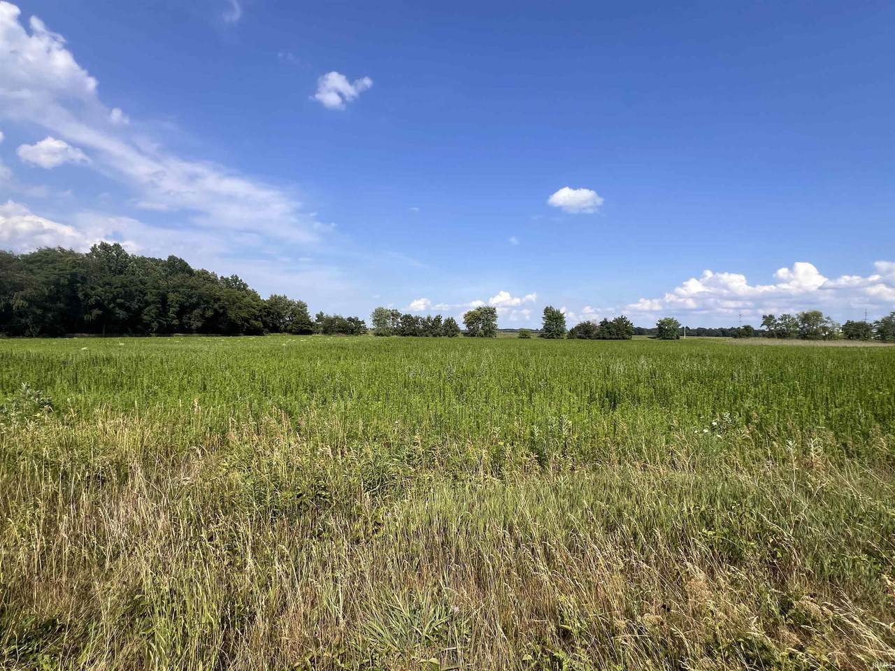 Lot 16 Morgan Road - Photo 1