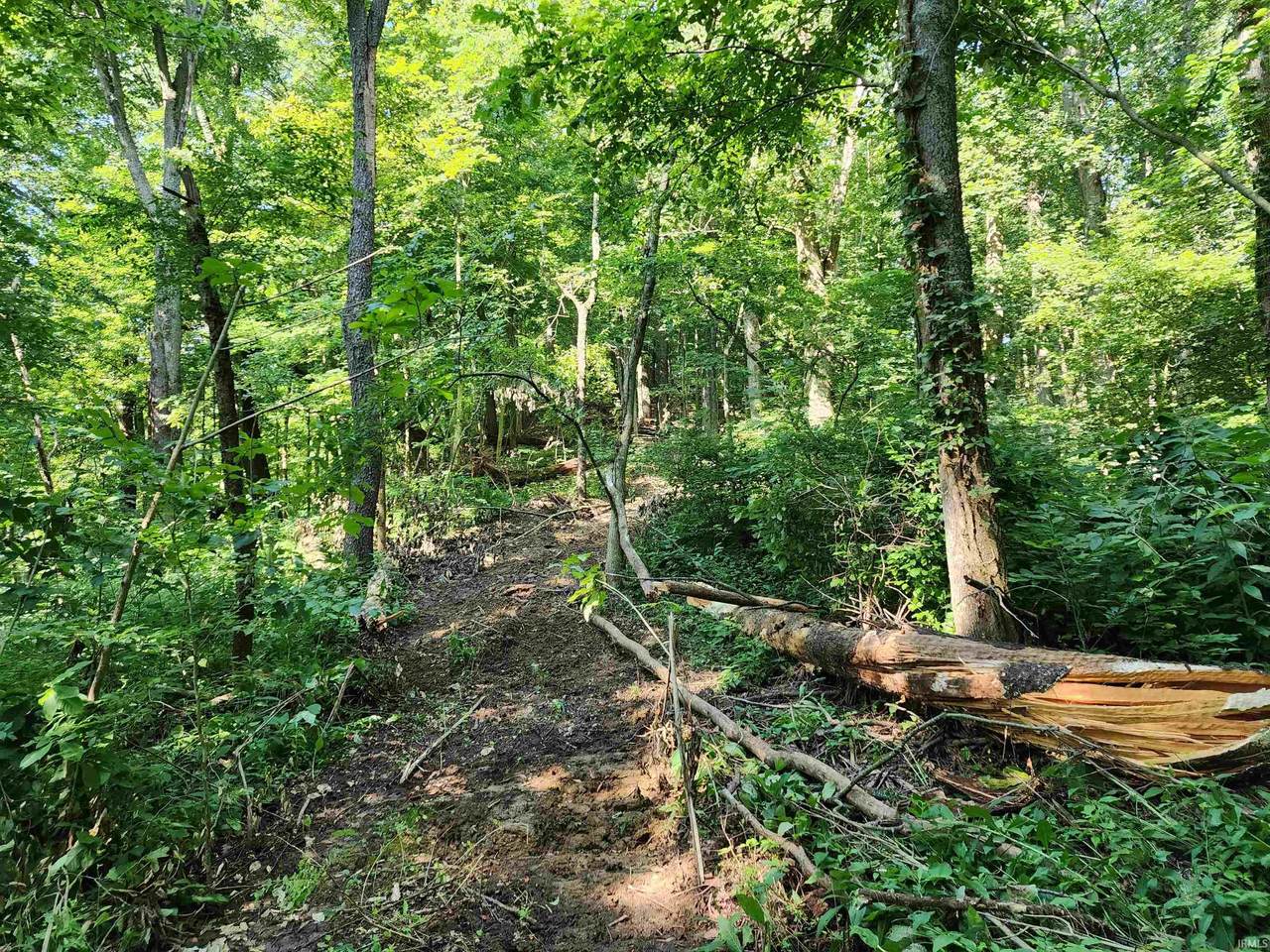 18 +/- Acres County Road 1250 West - Photo 1