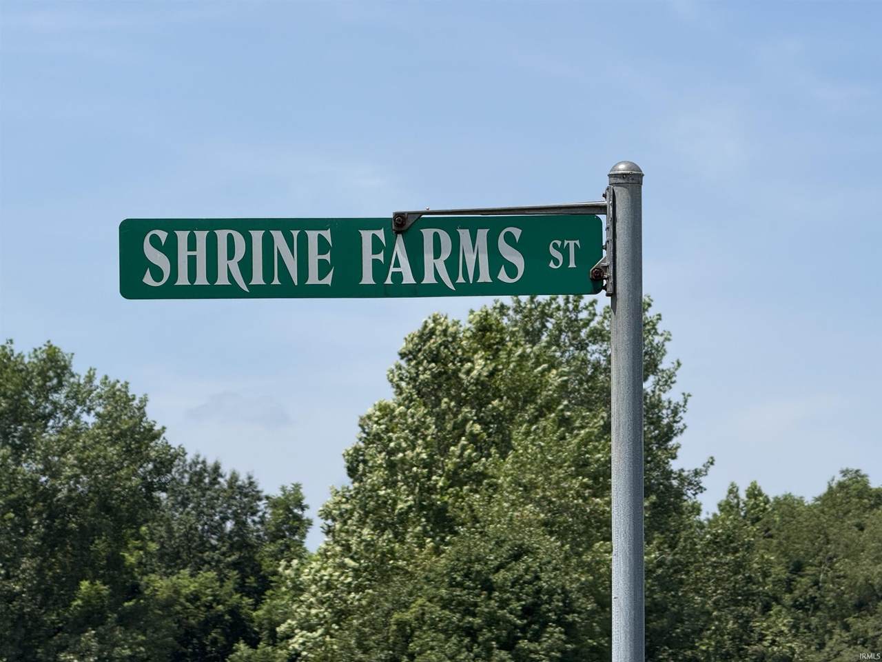3930 Shrine Farms Street - Photo 1