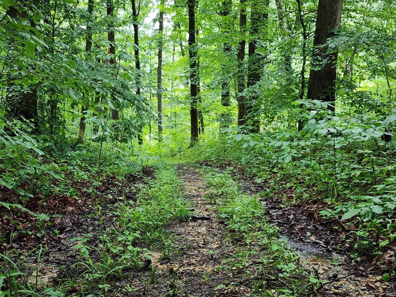 TBD State Road 54 - Photo 1